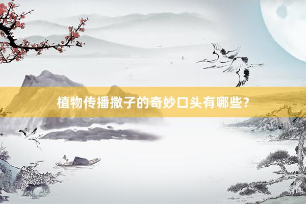 植物传播撒子的奇妙口头有哪些?