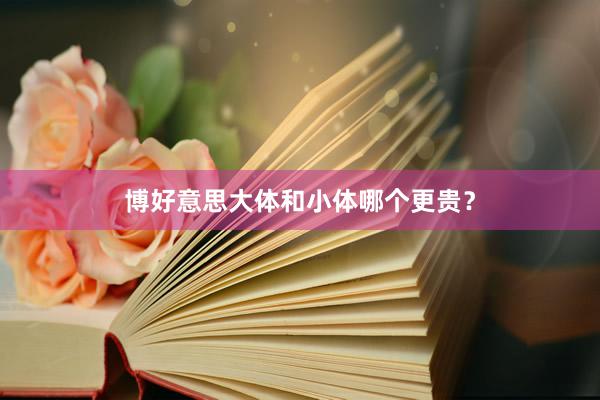 博好意思大体和小体哪个更贵?